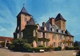 Environs De LEMBEYE - Château De Corbère - Carte Grand Format - Lembeye