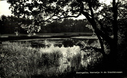 DWINGELOO VENNETJE IN DE STAATSBOSSEN Drenthe HOLLAND HOLANDA NETHERLANDS - Dwingeloo