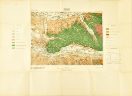 1910 Nagyvárad, 1:75.000, Rajzolta: Pitter Tivadar, Kis Szakadással, 67x92 Cm - Autres & Non Classés