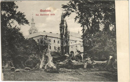 T2 1911 Munkács, Mukacheve, Mukacevo; Szt. Bazilrendü Zárda, Kivágott Fa / Nunnery, Felled Tree - Unclassified