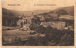 T2/T3 Sokolowsko, Görbersdorf; Dr. Brehmer's Heilanstalten / Spa Sanatorium (EK) - Ohne Zuordnung