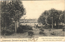 T2/T3 1908 Grado, Pinienwald Belvedere Bei Grado. Fotogr. Artist. Atelier Hesz U. Wessely. Verlag Fratelli Grigolon U. F - Ohne Zuordnung