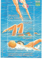 Brazil 1993: Water Sports: Diving, Synchronized Swimming And Water Polo. SS MNH - Wasserball