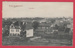 Gruss Aus Herbesthal ... Panorama De La Localité - 1903 ( Voir Verso ) - Lontzen