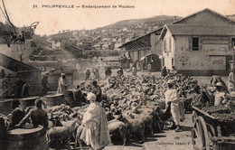 Philippeville (Skikda, Algérie) Embarquement De Moutons Sur Les Bateaux - Collection Idéale P.S. - Carte N° 24 - Skikda (Philippeville)