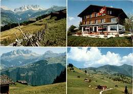 Berghaus Mottis Stels Ob Schiers - 4 Bilder (39-542) * 18. 6. 1984 - Schiers