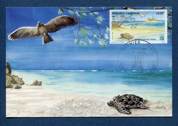 ⭐ Nouvelle Calédonie - Carte Maximum - Premier Jour - FDC - Protection Du Lagon - 1993 ⭐ - Cartes-maximum