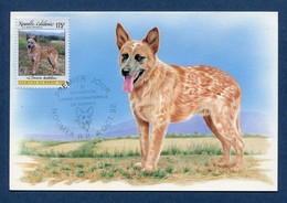 ⭐ Nouvelle Calédonie - Carte Maximum - Premier Jour - FDC - Exposition Canine Internationale De Nouméa - 1992 ⭐ - Maximum Cards