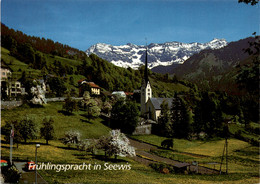 Frühlingspracht In Seewis (3012) (b) - Seewis Im Prättigau