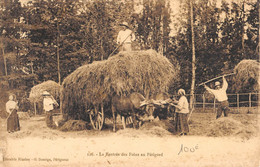 CPA 24 LA RENTREE DES FOINS EN PERIGORD - Otros & Sin Clasificación