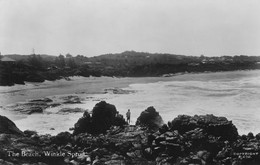 The Beach, Winkle Spruit - Carte-Photo - Cap Vert