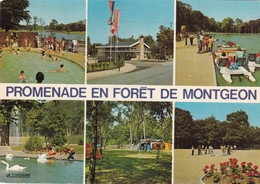 76. Le Havre, Promenade En Forêt De Montgeon - Forêt De Montgeon
