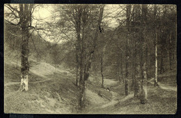 MARTELANGE - Entrée De La Forêt - Circulé - Circulated - Gelaufen - 1912. - Martelange