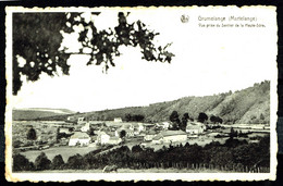 GRUMELANGE - Vue Prise Du Sentier De La Haute-Sûre - Circulé - Circulated - Gelaufen - 1953. - Martelange