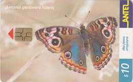 Uruguay TC 182a, $10,Butterflies, Junonia Genovera Hilaris 2 Scans - Uruguay