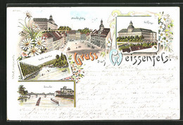 Lithographie Weissenfels /Saale, Marktplatz, Schloss, Brücke - Weissenfels