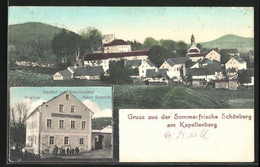 AK Schönberg Bei Brambach, Gasthof Zum Kapellenberg, Ortsansicht - Bad Brambach