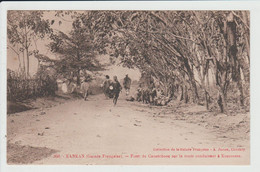 KANKAN - GUINEE - FORET DE CAOUTCHOUC SUR LA ROUTE CONDUISANT A KOUROUSSA - Guinée