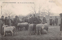 Royat        63         Un Coin De Foire  - Les Moutons -      (voir Scan) - Royat