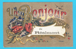 CPA Un Bonjour De REALMONT - 81 Tarn - Realmont