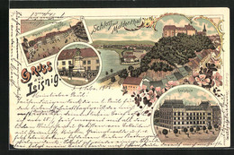 Lithographie Leisnig, Marktplatz Mit Rathaus, Schloss Mit Muldenthal - Leisnig