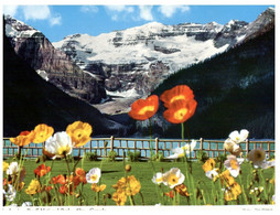 (RR 32) Canada - Lake Louise (posted To Australia) - Lac Louise