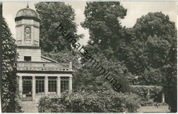 Neuruppin - Tempelgarten - Foto-Ansichtskarte - VEB Bild Und Heimat Reichenbach 60er Jahre - Neuruppin