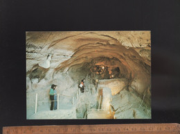 MALTE MALTA : Ghar Dalam Prehistoric Cave Grotte Préhistorique - Malte