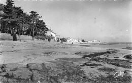 ¤¤    -    ILE-de-NOIRMOUTIER   -  LE PETIT VIEL   -  La Plage      -  ¤¤ - Ile De Noirmoutier