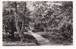 Holten Wandelpaadje Op De Holterberg OM21 - Holten