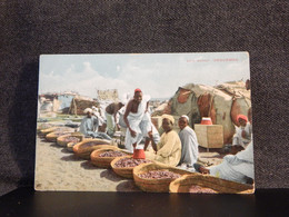 Sudan Omdurman Date Market__(13495) - Soudan