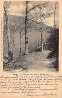 HUY (Liège) Chemin De Sart_chantelière - Ed. / Uitg. De Ruyter - Huy