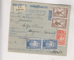 CROATIA SHS SLOVENIA 1920 BADLJEVINA Parcel Card - Croatie