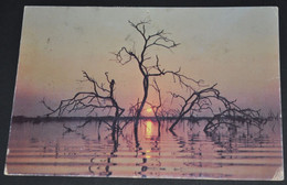 Sunset At Kariba, Zimbabwe - Zimbabwe