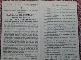 Barbara BLOMMAERT, Weduwe Van J.B. VAN CAESBROECK Meusegem-Wolvertem 1862-1944 Londerzeel - Documentos Históricos