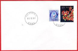 NORWAY -  9582 NUVSVÅG - 24 MmØ - (Finnmark County) - Last Day/postoffice Closed On 1997.12.03 - Emisiones Locales