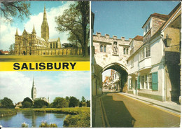 Salisbury (England, Wiltshire, U.K.) Views: Cathedral, Cathedral And River Avon, North Gate - Salisbury