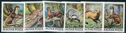 HUNGARY 1979 Protected Mammals MNH / **  Michel 3384-89 - Ungebraucht