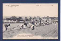 CPA [51] Marne > Epernay Métier De La Vigne Non Circulé - Epernay