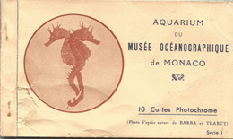 Monaco -   Aquarium Du Musée Océanographique De Monaco Carnet De 10 CPA Photochrome - Altri