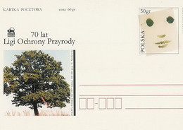 Poland Postcard Cp. 1166: Nature Protection, Tree - Interi Postali