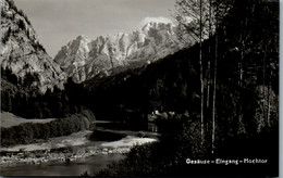 11291 - Steiermark - Gesäuse Eingang Hochtor - Nicht Gelaufen 1948 - Gesäuse