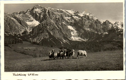 11332 - Salzburg - Hochkönig , Schafe - Nicht Gelaufen 1950 - Mühlbach Am Hochkönig