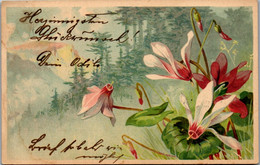 11460 -  - Blumen , Landschaft - Gelaufen 1904 - Flores