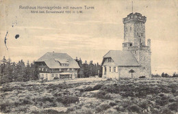 Rasthaus Hornisgrinde Mit Neuem Turm 1915 - Achern