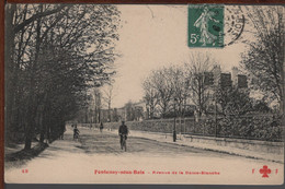 94 - FONTENAY-SOUS-BOIS - Avenue De La Dame-Blanche - Fontenay Sous Bois