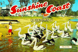 (Booklet 133 - 14-6-2021) Australia - QLD - Sunshine Coast - Sunshine Coast