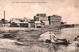 Suez - Marché De Poissons - Carte N° 210 Non Circulée - Sues