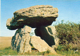 Saint Affrique  Dolmen De  Tiergues - Dolmen & Menhirs