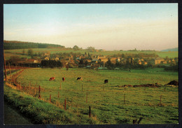 TORGNY - Vue Du Village - Non Circulé - Not Circulated - Nicht Gelaufen. - Rouvroy